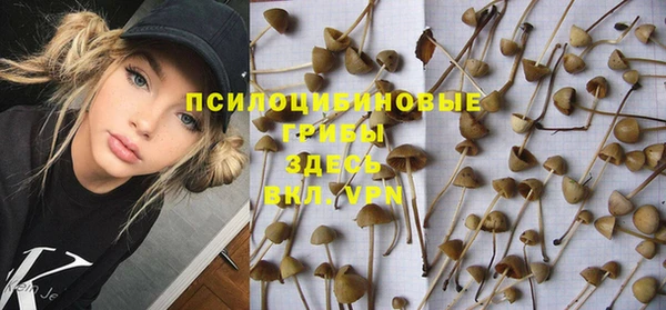 прущая мука Богородск