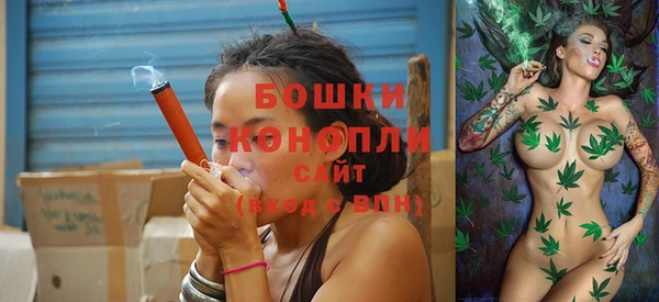 гашиш Богданович