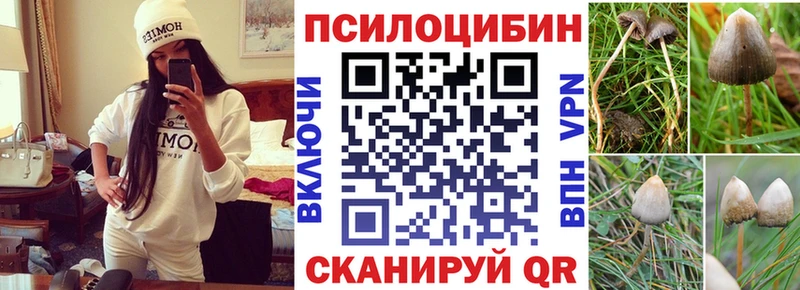 Галлюциногенные грибы MAGIC MUSHROOMS Каспийск